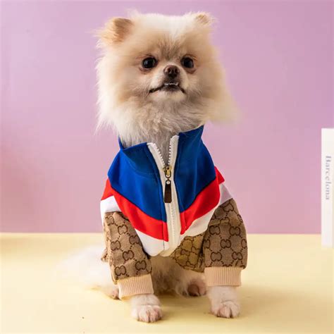 gucci dog clothes australia|gucci inspired dog clothes.